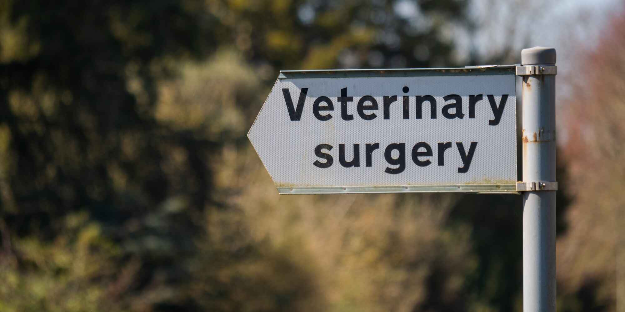 Grey sign that says "Veterinary Surgery"