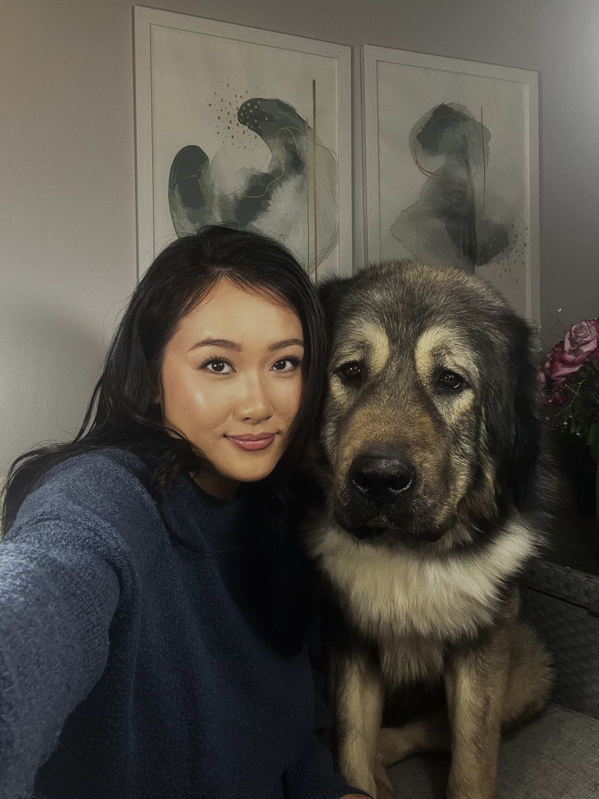 Bear Dogs - The Akita female author wearing a blue sweatshirt sitting beside a large Caucasian Shepherd